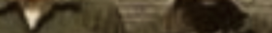 MATTHEW SWARTS A very blurry image by Matthew Swarts showing two figures side by side against a light, possibly brick, background. Details of their faces and features are indistinguishable—a hallmark of fine art photography and visual art.
