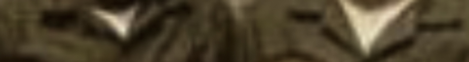 MATTHEW SWARTS Two people wearing brown uniforms are standing side by side. The image, in the style of visual art by artist Matthew Swarts, is cropped closely and appears blurry, focusing on their upper bodies and collars.