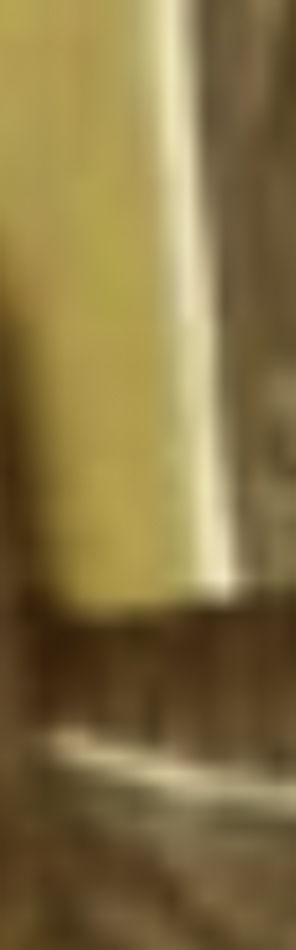 MATTHEW SWARTS A blurred close-up image featuring vertical yellow and brown sections with white lines, possibly part of a larger object or surface. The indistinct details evoke the abstract qualities often seen in contemporary art photography.