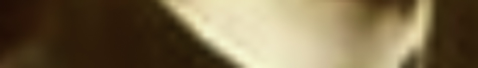 MATTHEW SWARTS A blurred close-up image in shades of brown and beige with soft, indistinct shapes, this piece evokes the essence of contemporary art and fine art photography, leaving details ambiguous and inviting open interpretation.