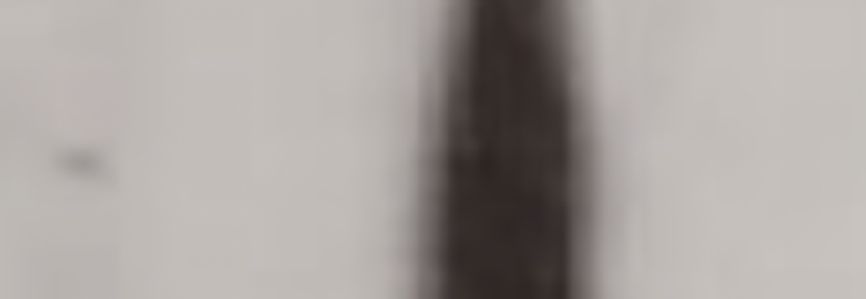 MATTHEW SWARTS A blurry close-up of a vertical dark brown line against a light gray or beige background, this image embodies fine art photography with its out-of-focus details, offering a contemporary art aesthetic that invites interpretation.