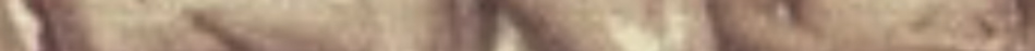 19742279