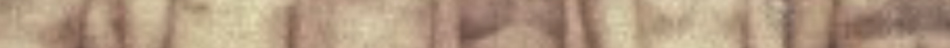 19742332