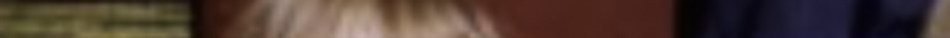19742392