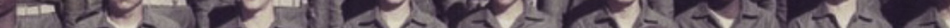 19742426
