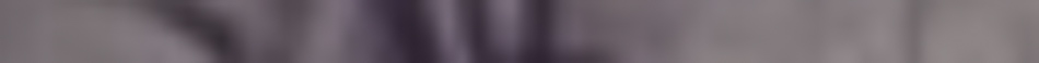 MATTHEW SWARTS A blurred image featuring vertical streaks in various shades of purple and beige, creating an abstract, soft-focus effect reminiscent of contemporary art photography.