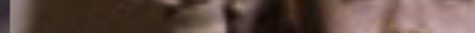 MATTHEW SWARTS A blurry, close-up image featuring vertical bands of brown and pinkish colors, with indistinct shapes—an abstract example of contemporary photography with no clear objects or identifiable details.