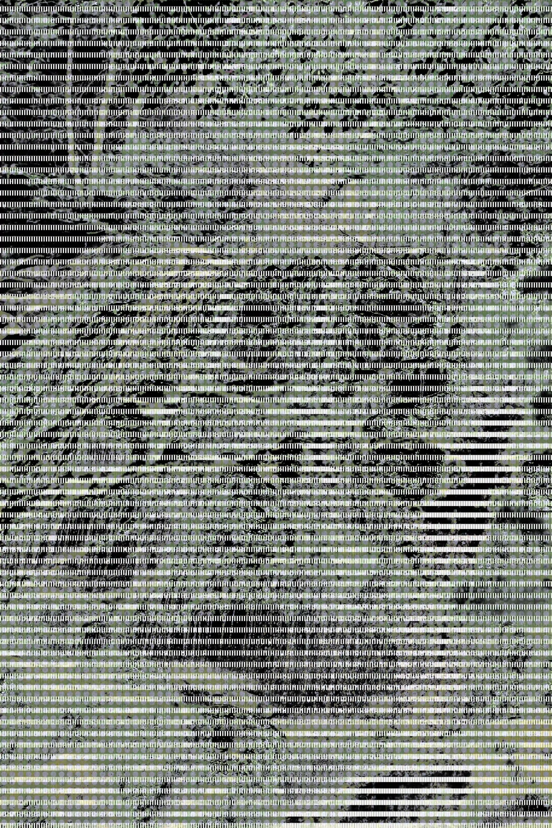 WATERFALL20201C20A 2