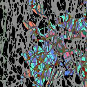 MATTHEW SWARTS GARDEN 2024A