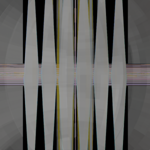 MATTHEW SWARTS HUMMINGBIRD 2024