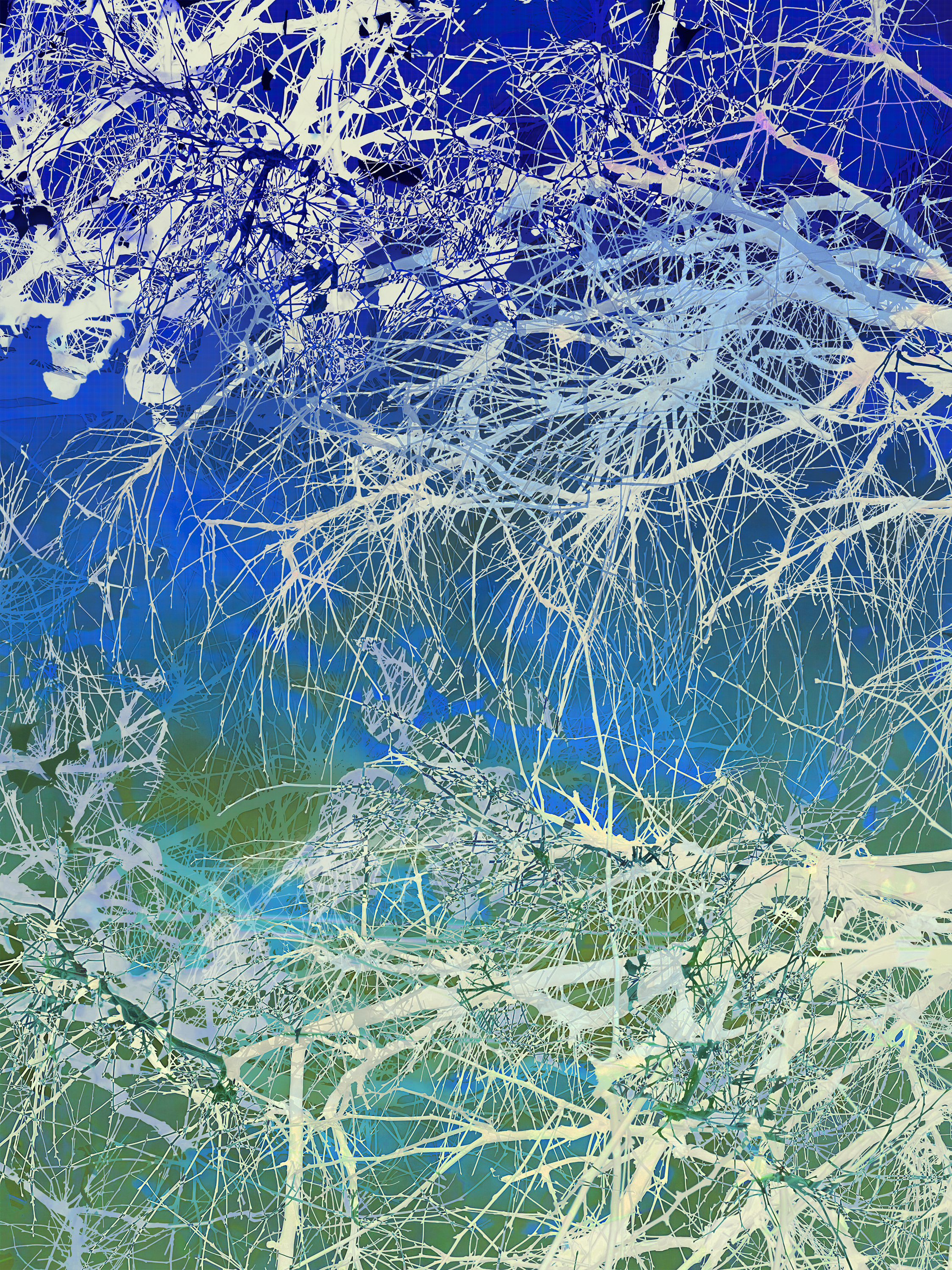 MATTHEW SWARTS - INFORMATION IMG 5315 1C12A IMG 5315 1C12A