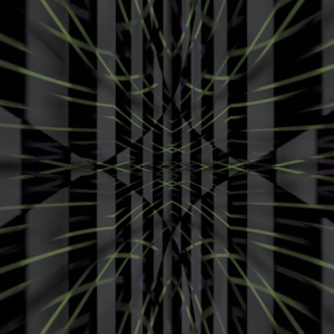 MATTHEW SWARTS ZIPTIE 2024R