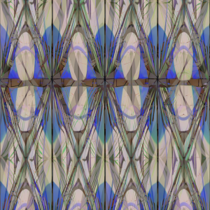 MATTHEW SWARTS EVE 2024A