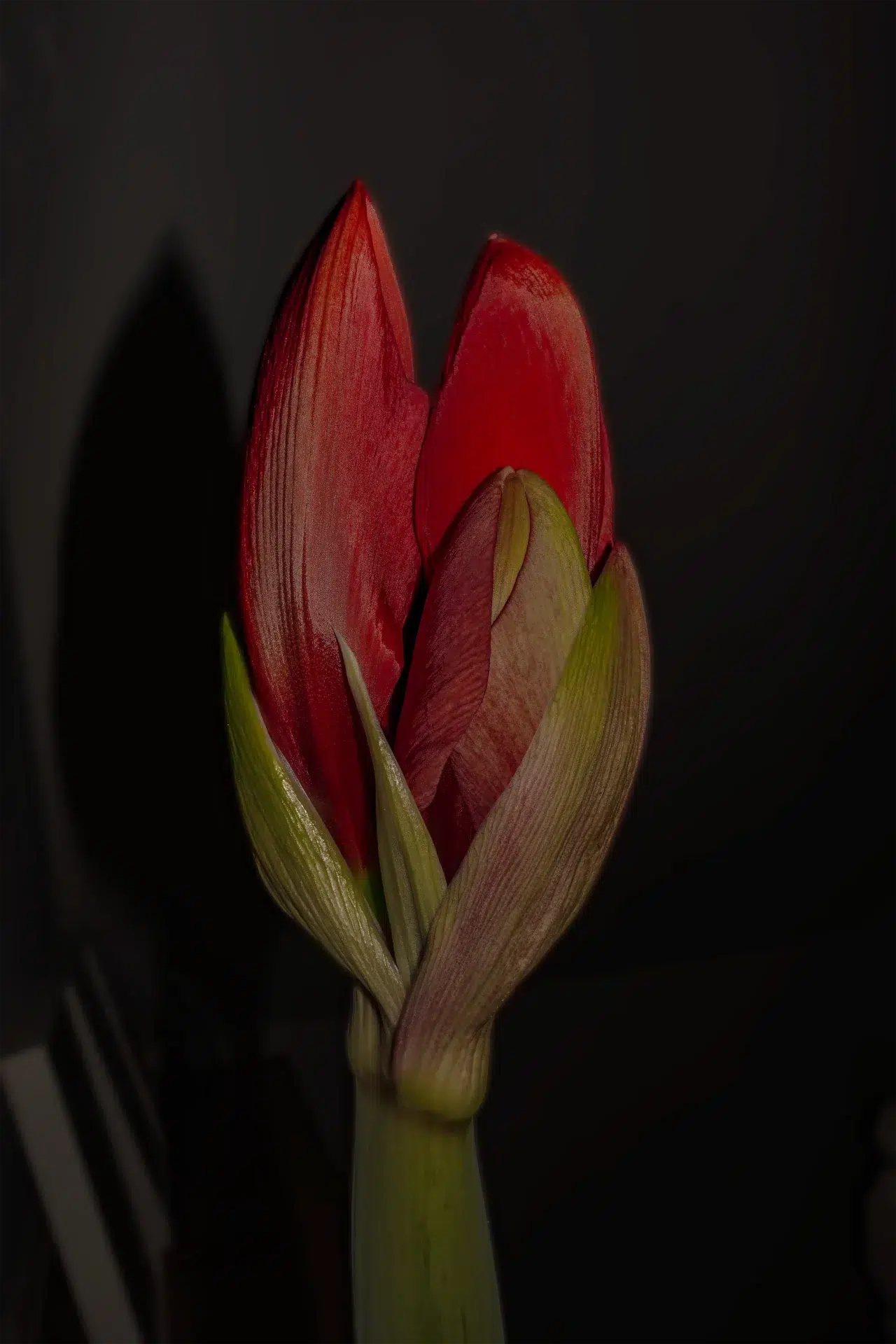 DSC00155A1