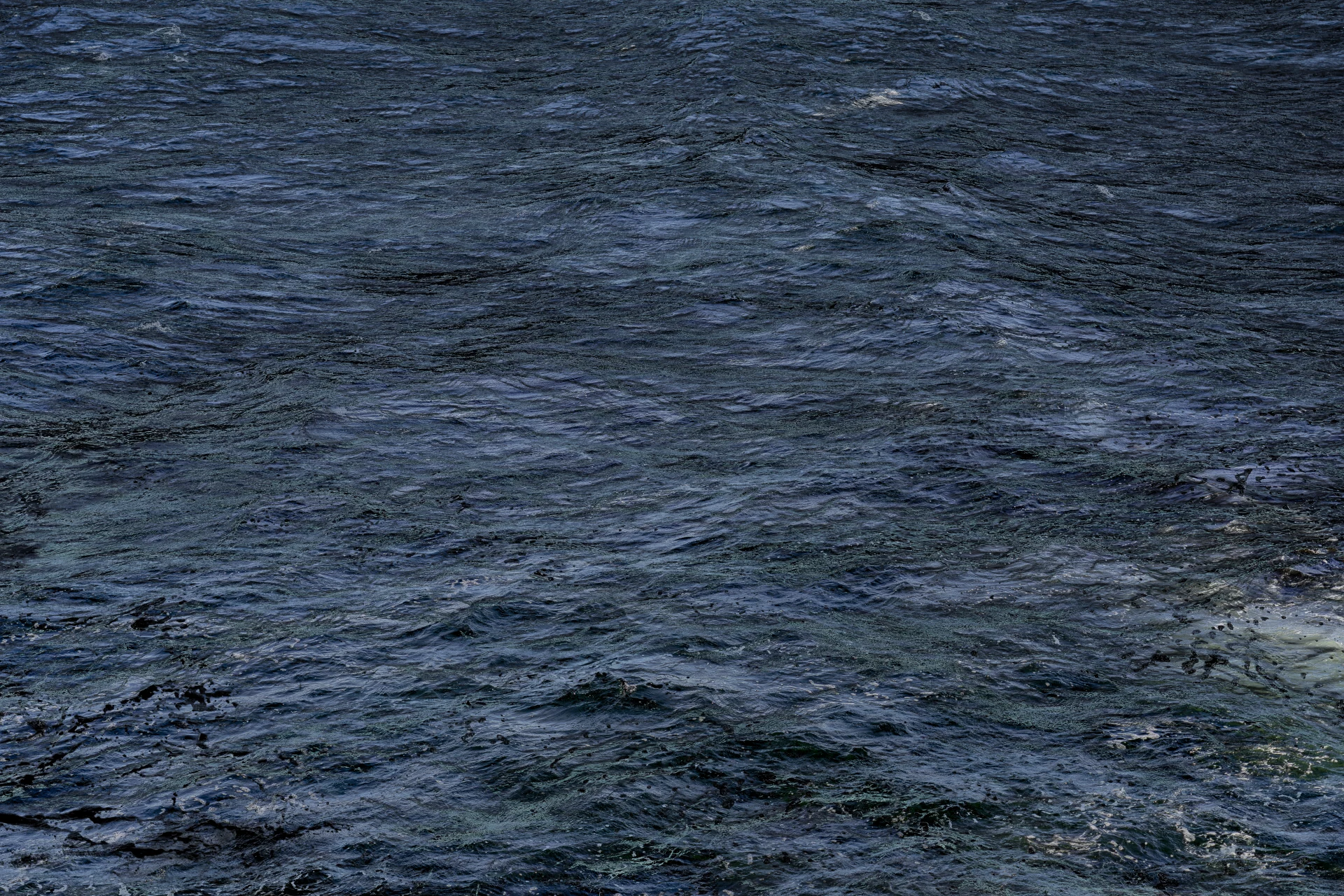 DSC00351C