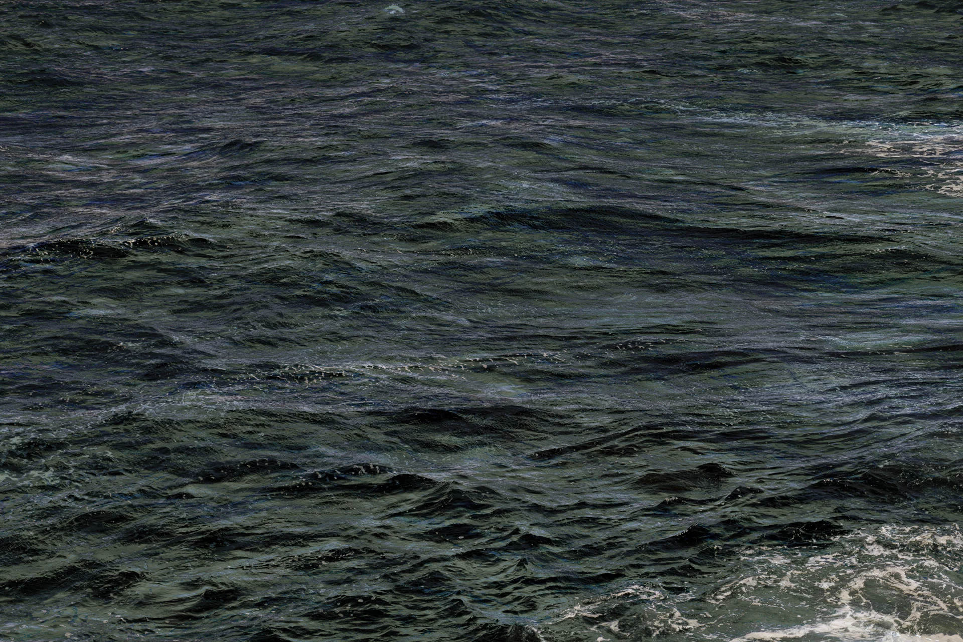 DSC00353D
