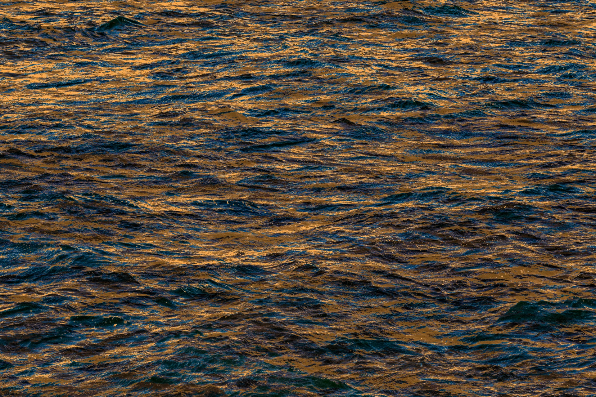 DSC00390 1A 2