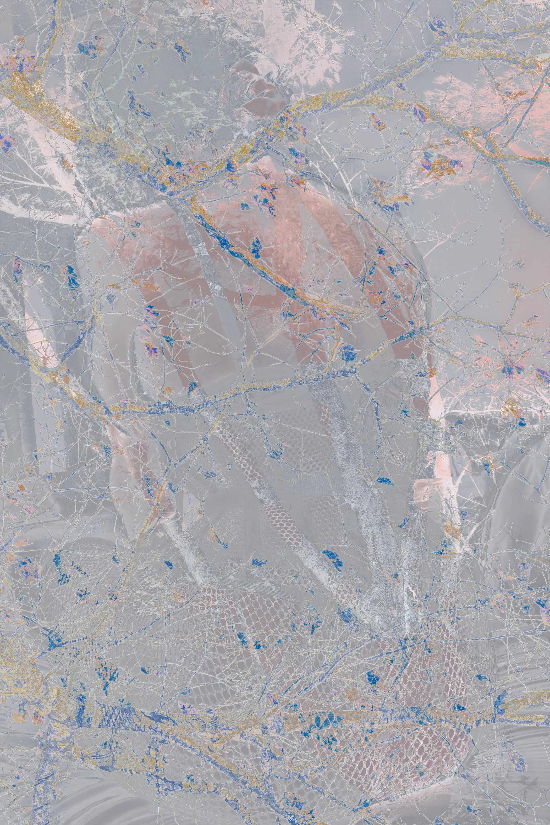 DSC03594 ENHANCED NR 1 COPY 2