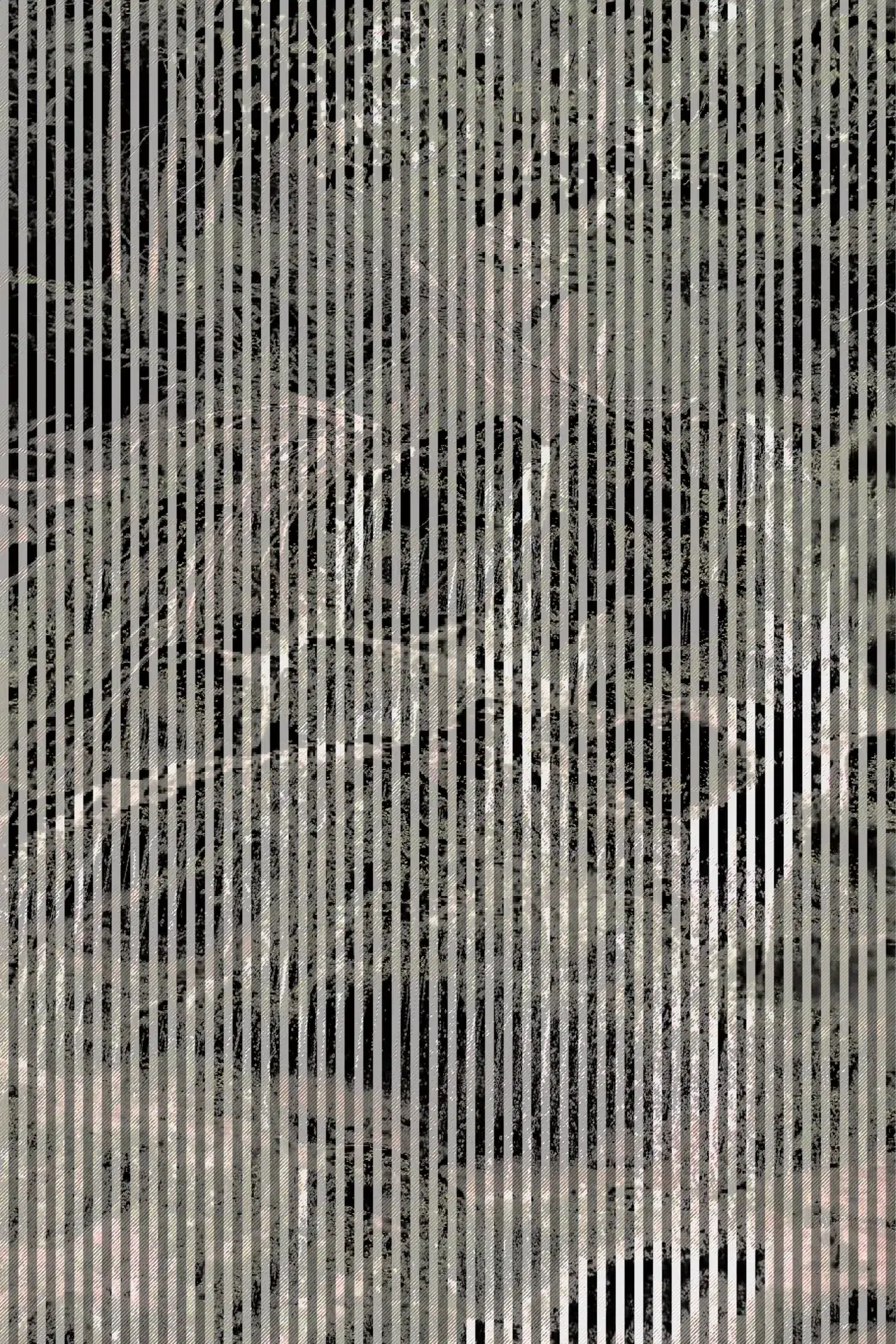 WATERFALL20201C2H