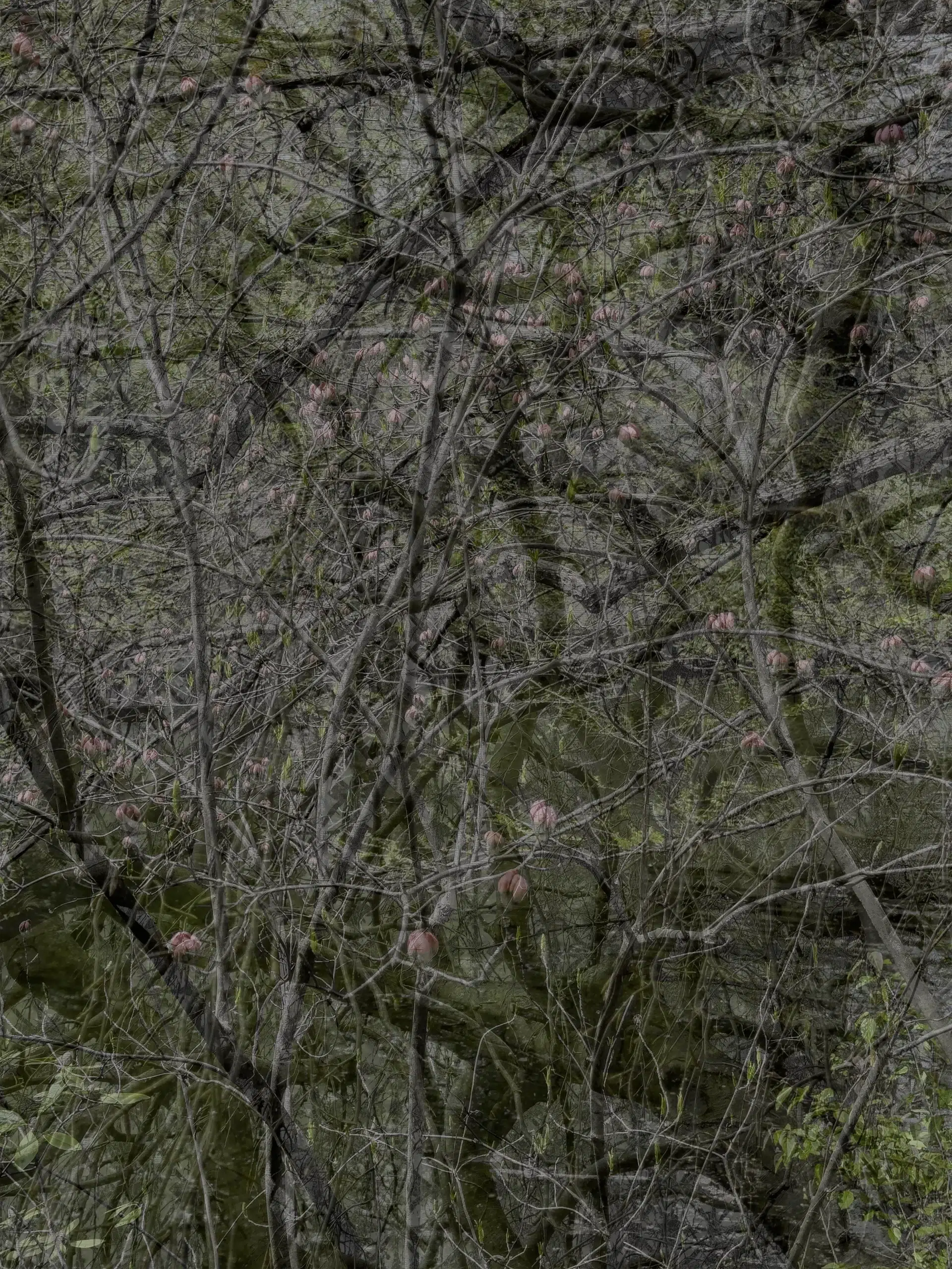 MATTHEW SWARTS 30X40 IMG 5303 1B2A 2024