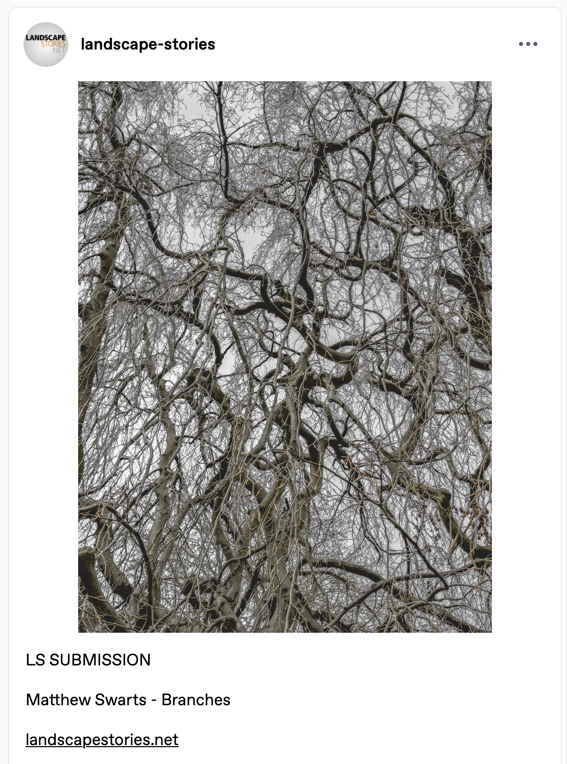 MATTHEW SWARTS - MATTHEW SWARTS + LANDSCAPE STORIES 2025 SCREENSHOT 2025 12 18 AT 12.07.35 PM SCREENSHOT 2025 12 18 AT 12.07.35 PM