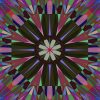 MATTHEW SWARTS DAISY 2026A