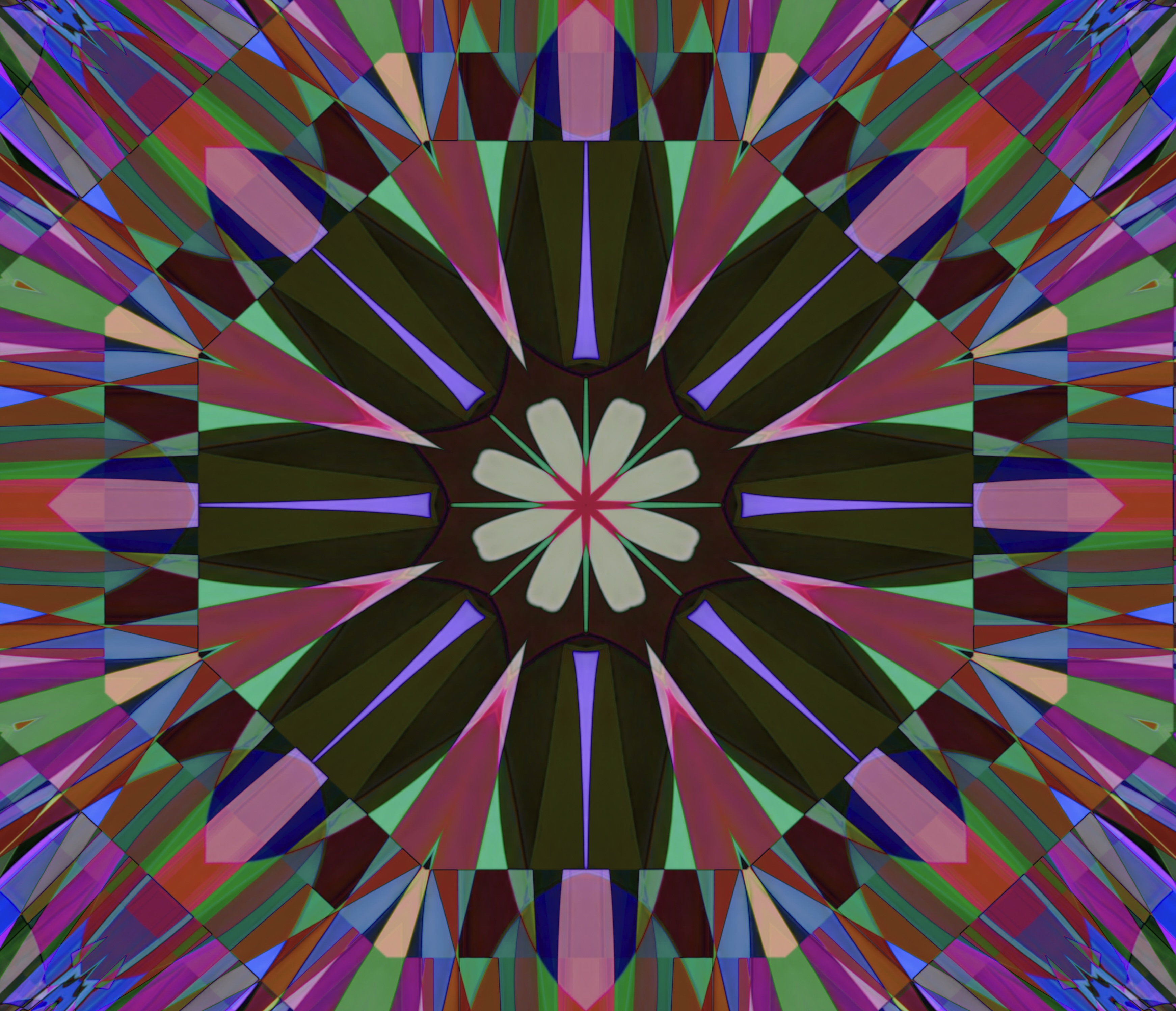 MATTHEW SWARTS DAISY 2026A