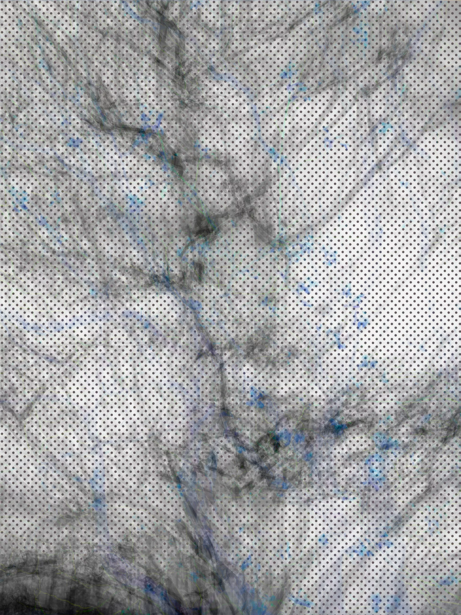 MATTHEW SWARTS Abstract VISUAL image featuring a textured white background with fine black dots, gray organic lines, and faint blue specks scattered throughout, creating a marbled and layered ART effect.