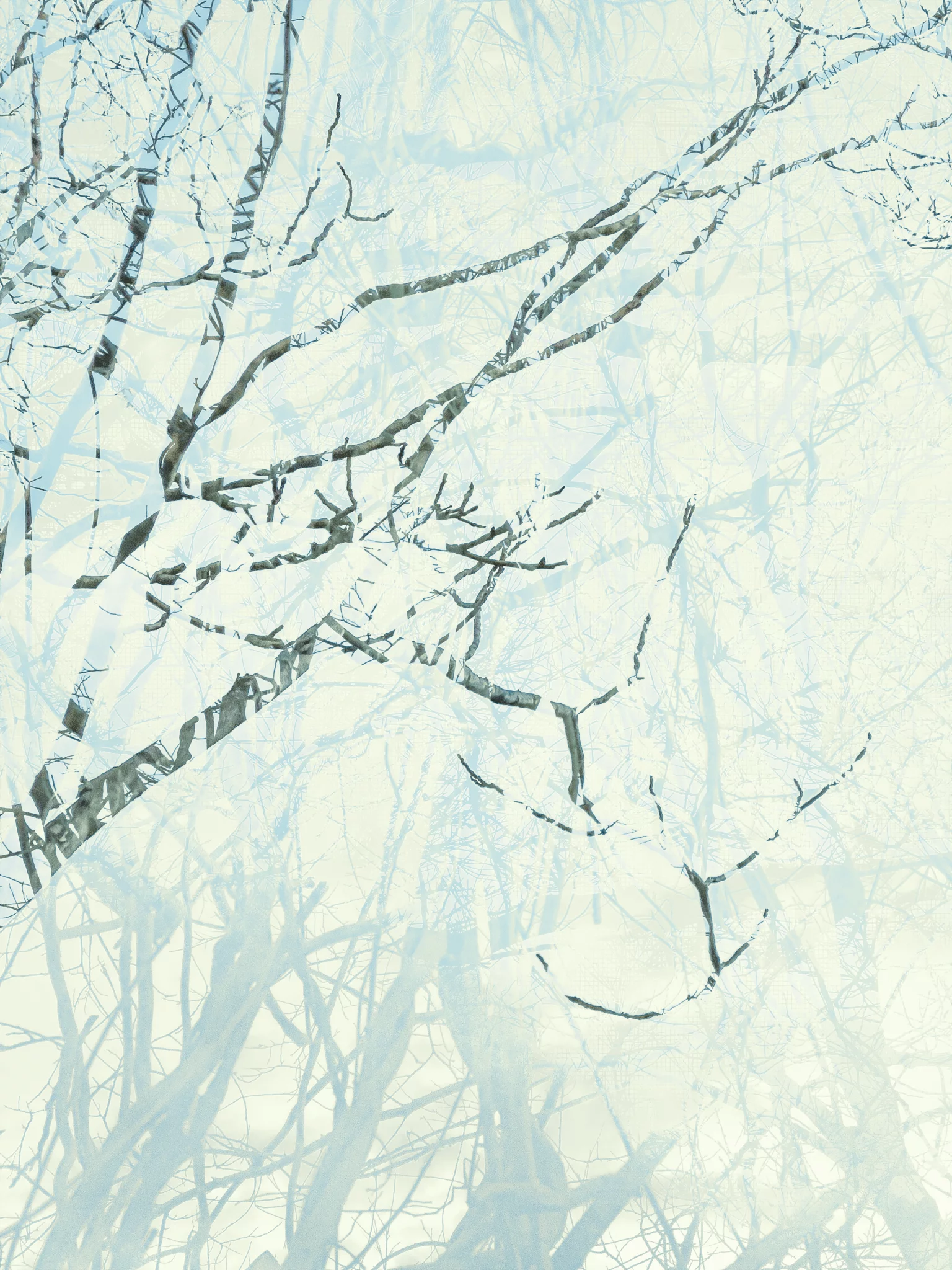 MATTHEW SWARTS Bare tree branches intertwine and overlap against a pale, cloudy sky, creating a layered, almost abstract pattern in soft, muted tones—a style reminiscent of contemporary artist Matthew Swarts.