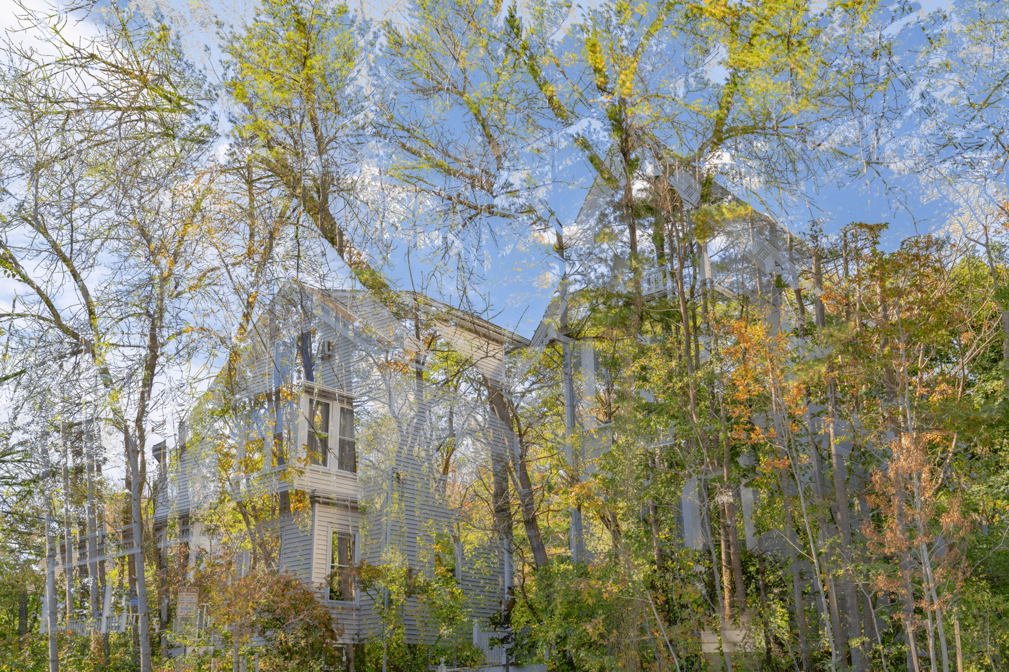 MATTHEW SWARTS A large, old white house with tall windows is partially obscured by trees with green and yellow leaves under a bright sky, creating a layered, dreamy appearance reminiscent of contemporary visual art.