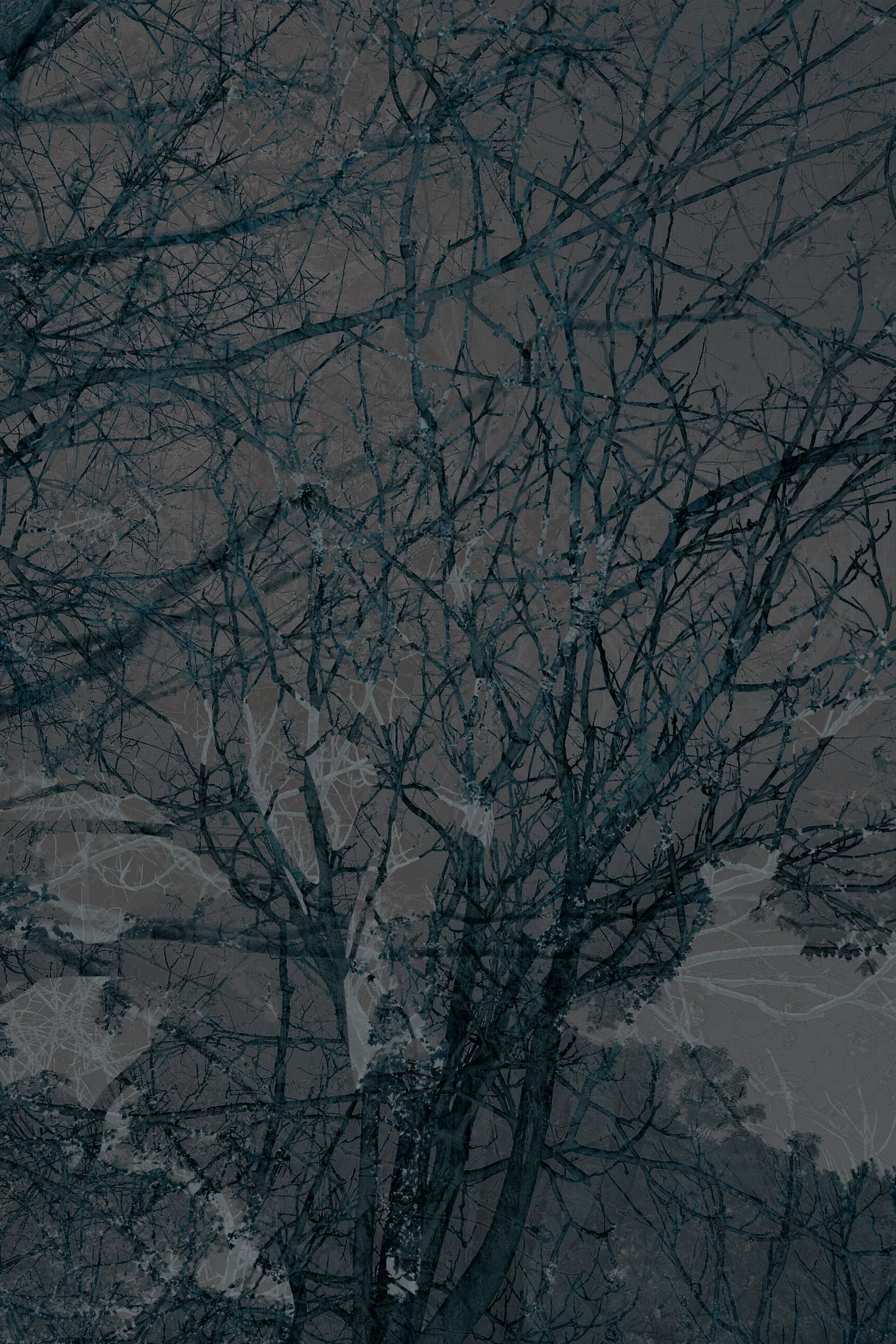 MATTHEW SWARTS A dense network of bare tree branches and twigs fills the image, silhouetted against a muted, cloudy sky. This visual composition evokes a sense of quiet stillness, capturing the poetic mood often sought in fine art photography.