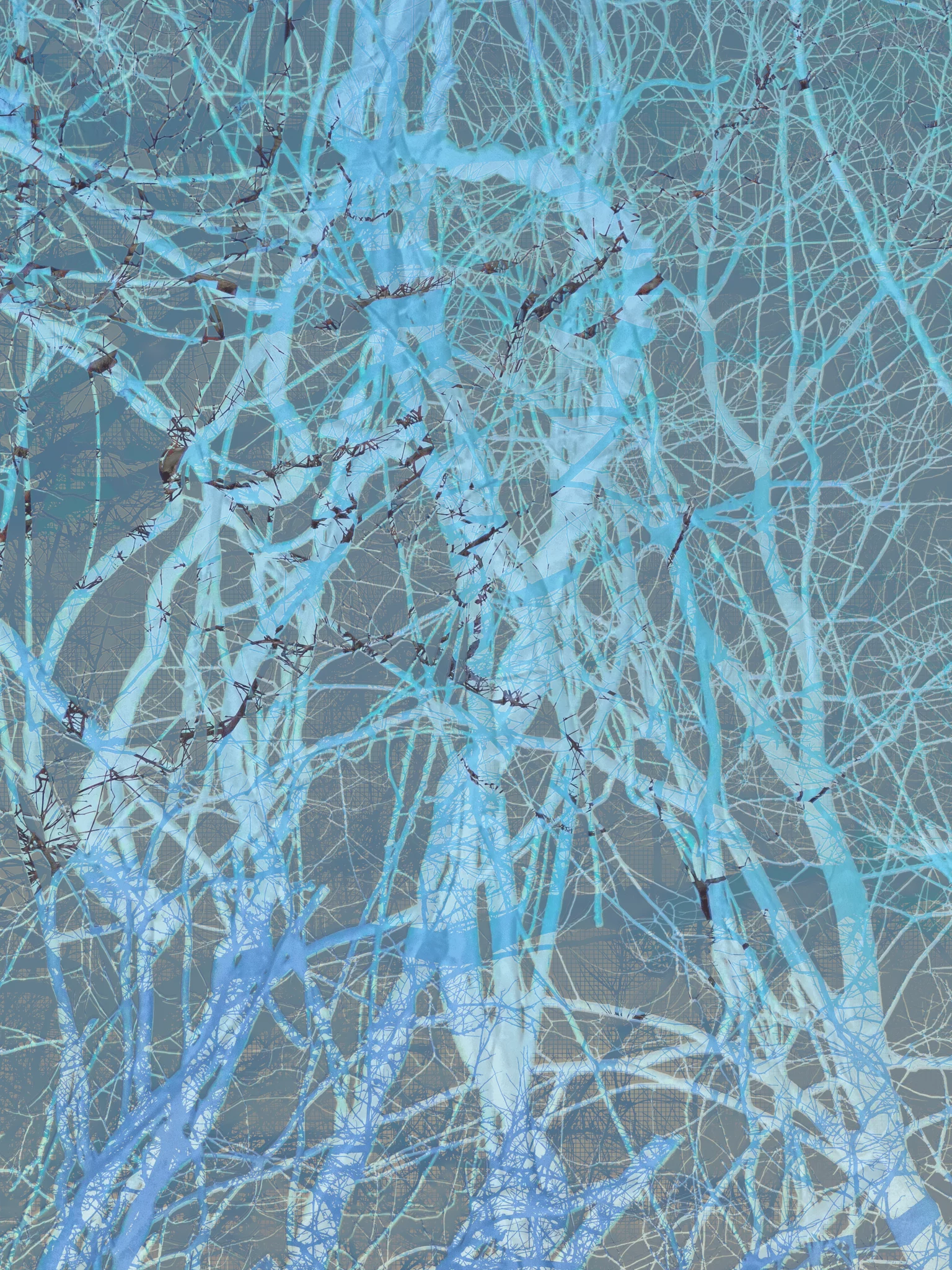MATTHEW SWARTS IMG 9982 1c 1