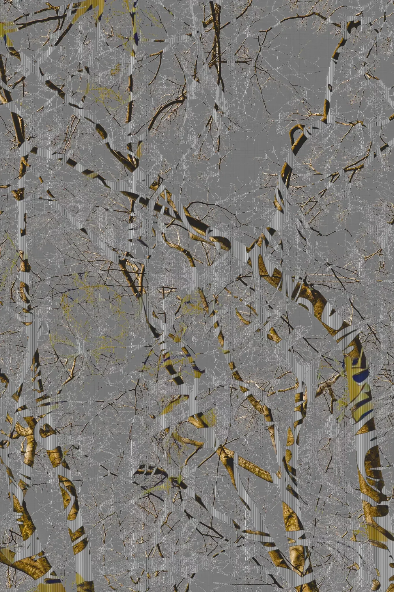 MATTHEW SWARTS A dense network of tree branches with golden-brown bark is overlaid with a frosty white texture, set against a gray background, creating an abstract, wintry appearance that evokes contemporary photography.