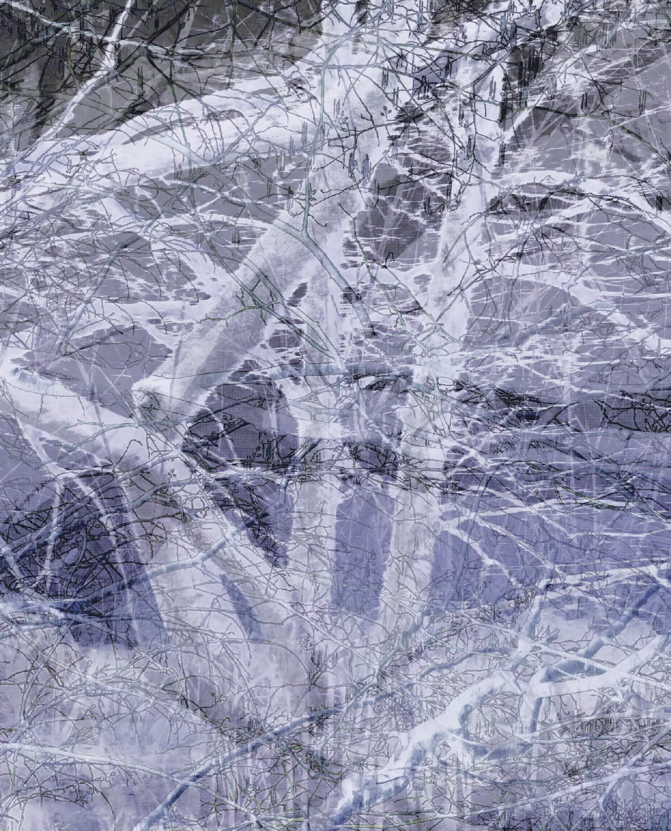 1a03282021branchesmatthewswarts Page 153 1B 2