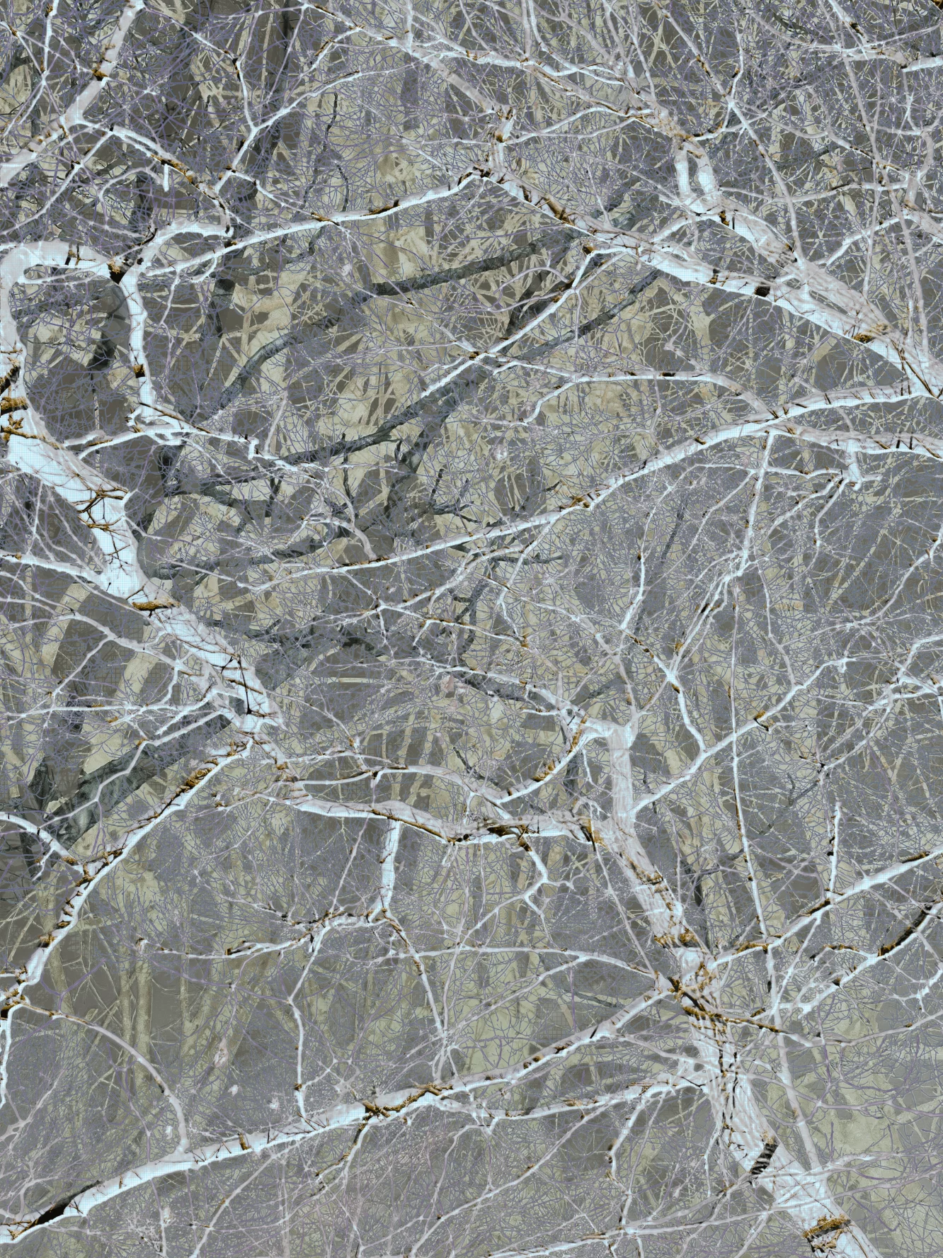 MATTHEW SWARTS IMG 9982 1h 1b