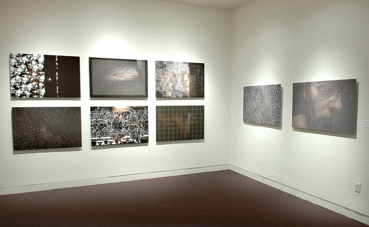 MATTHEW SWARTS PROJECTS installation view decordova museum and sculpture park