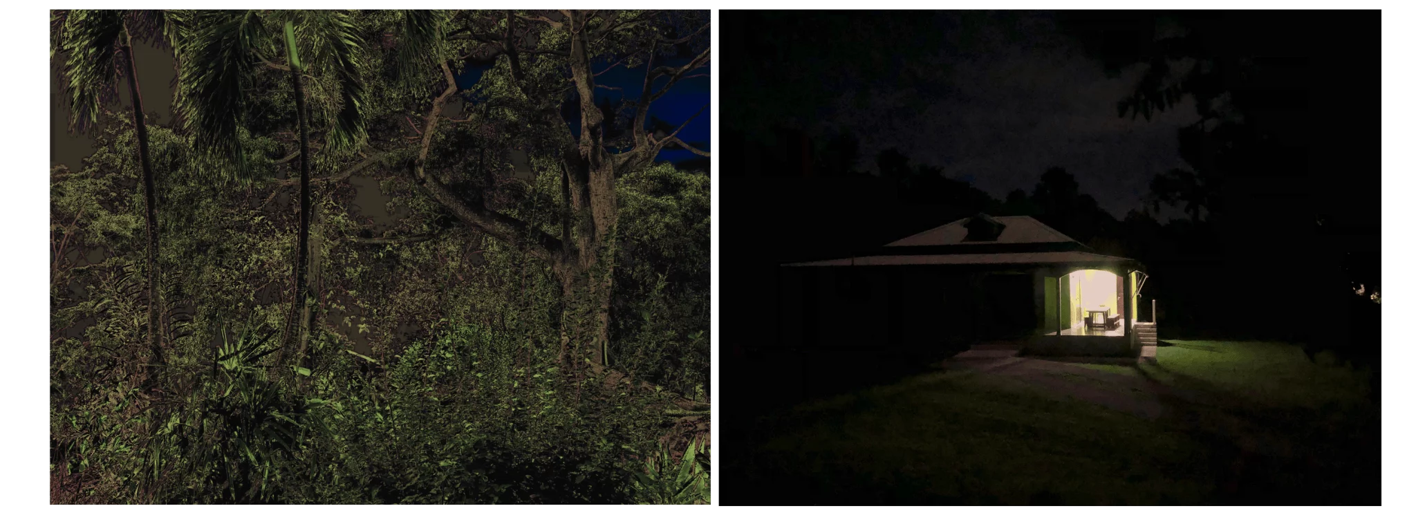 MATTHEW SWARTS IMG 5314 1ff