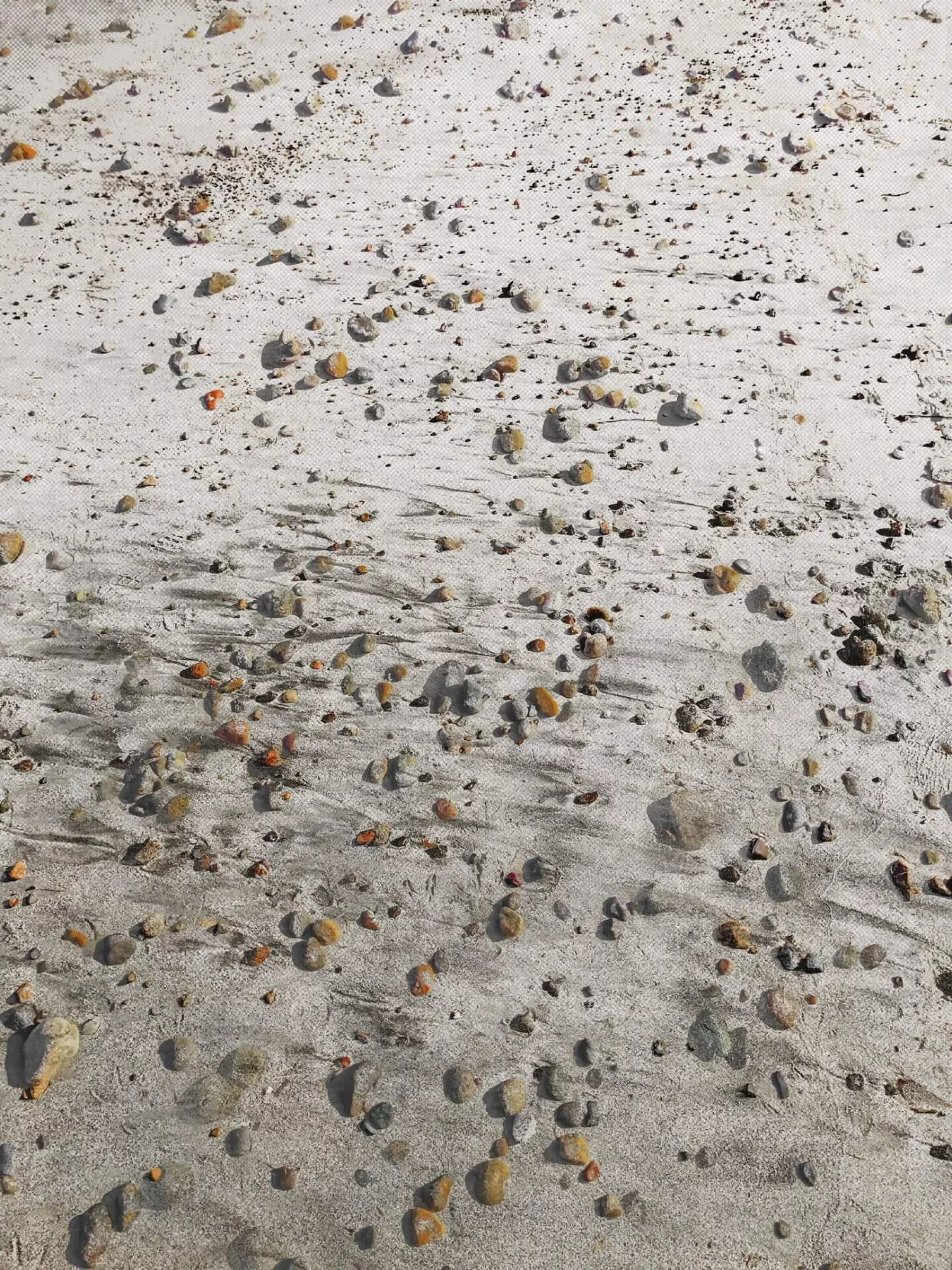 MATTHEW SWARTS IMG 4624 1h4