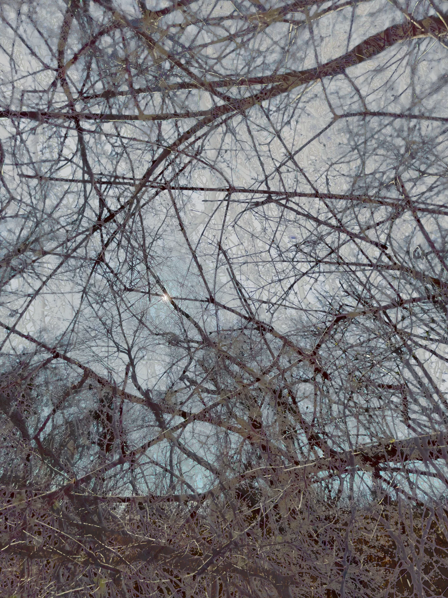 F6E6F87A 6C19 4833 989C DFCF0E8116F0 1a 2