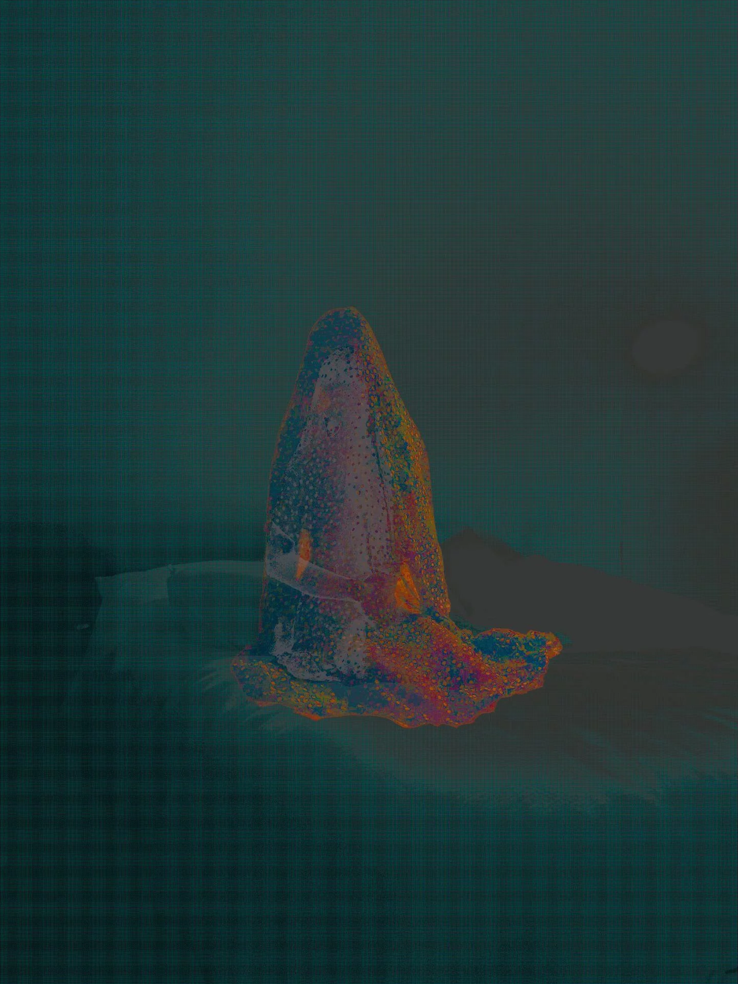 MATTHEW SWARTS IMG 7481 1b