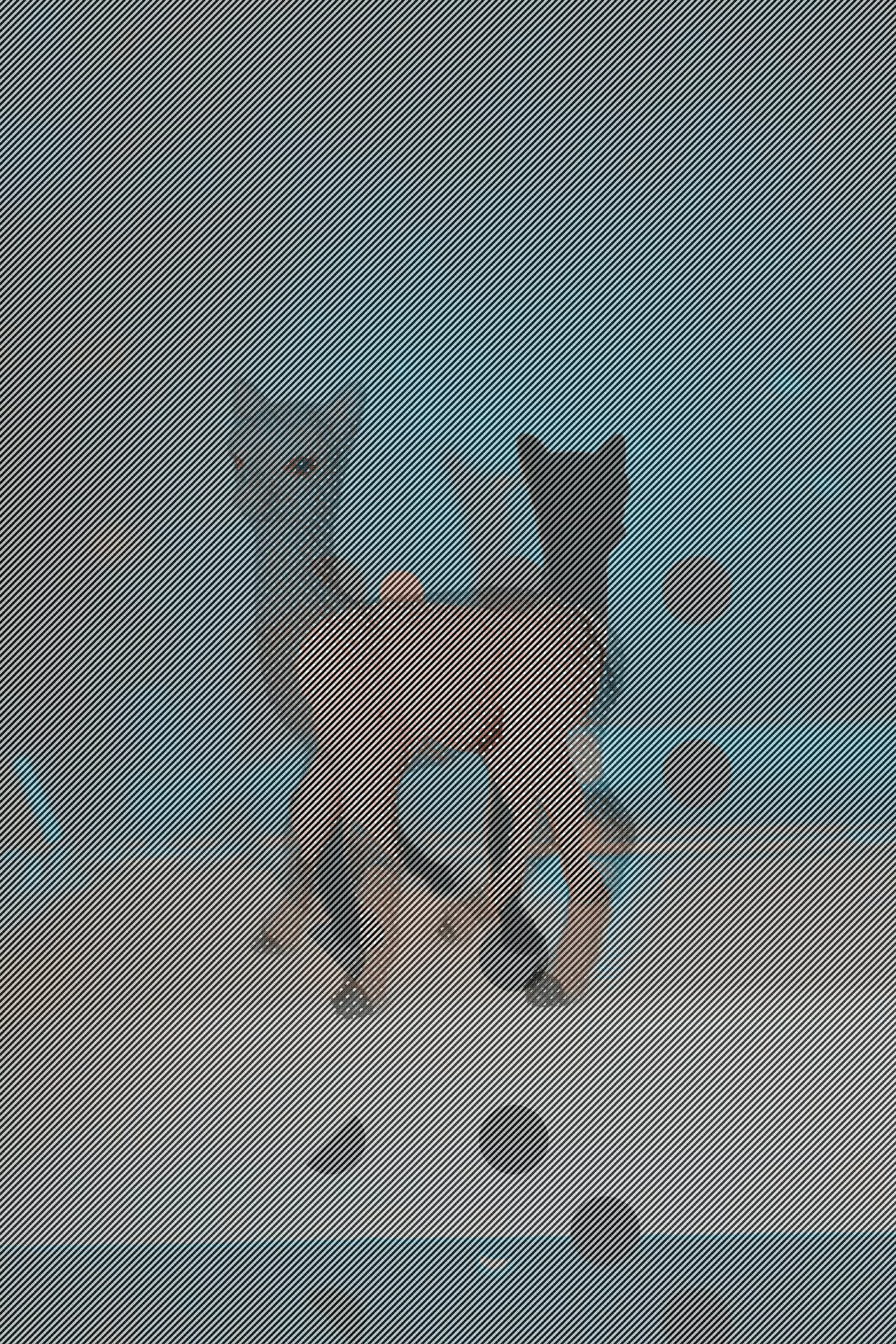 MATTHEW SWARTS DSC1041d2 copy