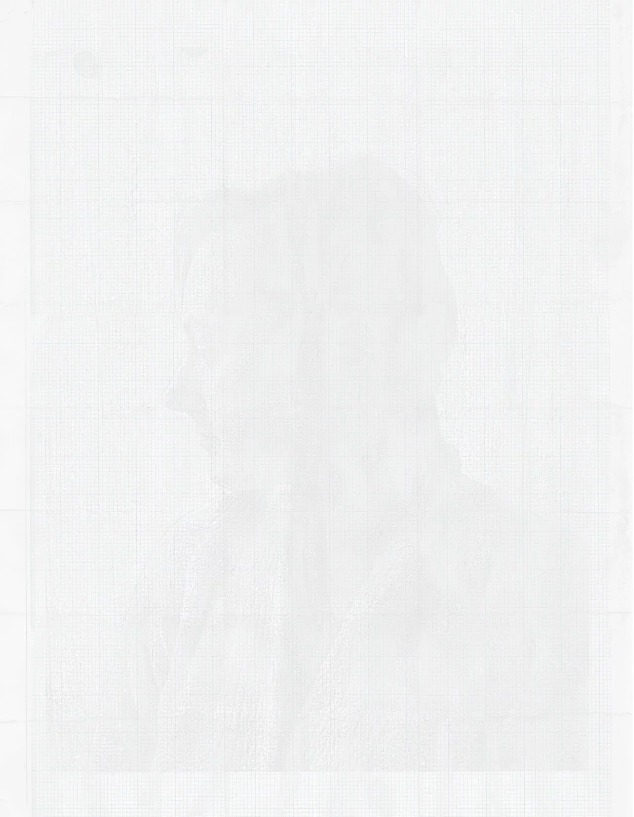 MATTHEW SWARTS A faint, grayscale portrait of a person facing left is overlaid on a white, grid-patterned background. This contemporary image by artist Matthew Swarts has a soft, almost ghostly appearance, with delicate details and subtle shading.