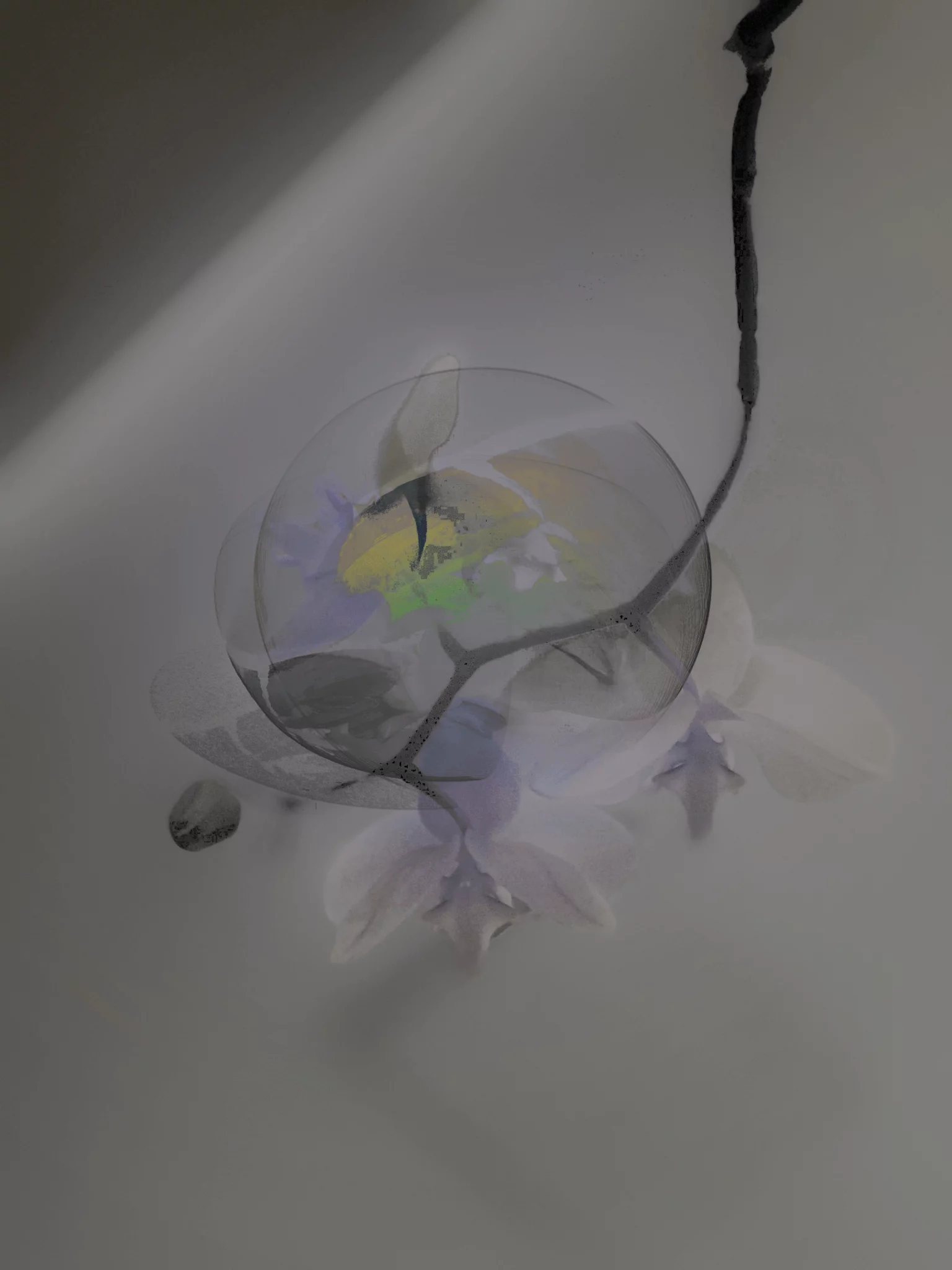 MATTHEW SWARTS A delicate, semi-transparent orb hovers over soft white and purple orchid flowers on a muted gray background, blending light and shadow in an ethereal, dreamy VISUAL composition.