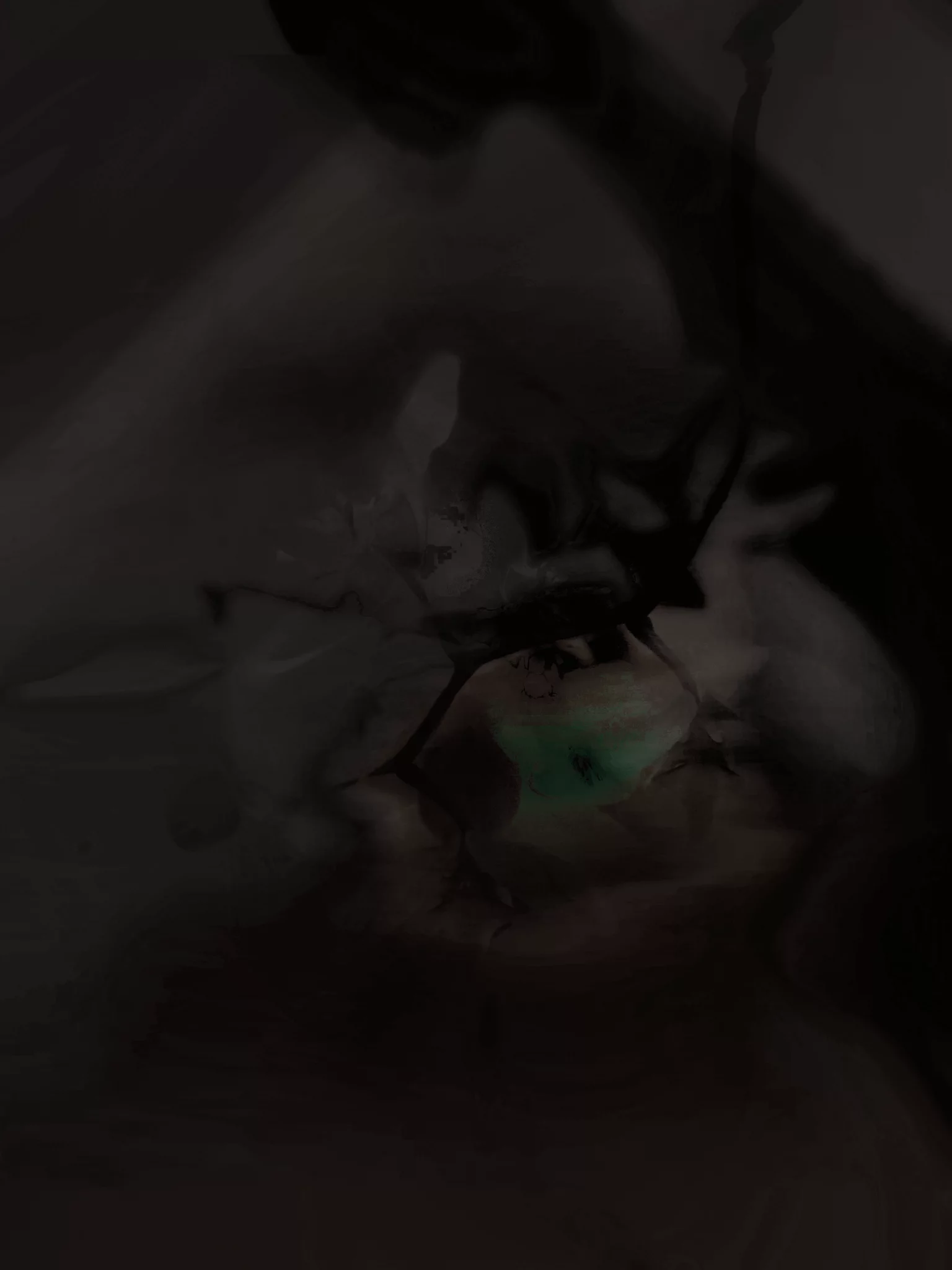 MATTHEW SWARTS A dim, abstract image with dark colors, featuring a soft green glow at the center and blurred, shadowy shapes that suggest an organic or floral form—an atmospheric work of photography by Matthew Swarts surrounded by deep shadows.