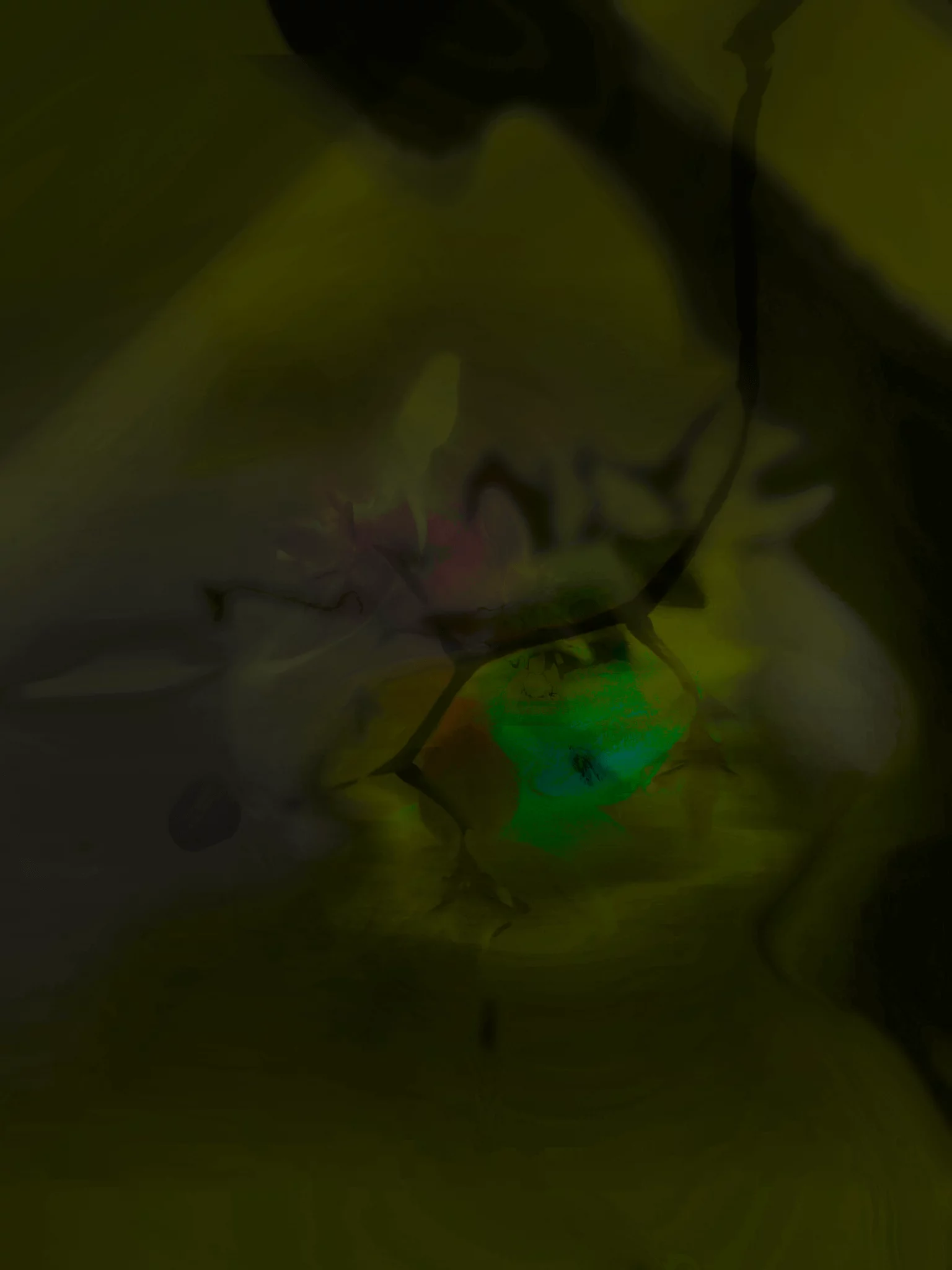 MATTHEW SWARTS Abstract image with dark, blurry green and yellow tones, featuring a small, bright green area near the center; indistinct shapes or lines enhance its mysterious, organic impression—perfect for lovers of modern art and experimental photography.