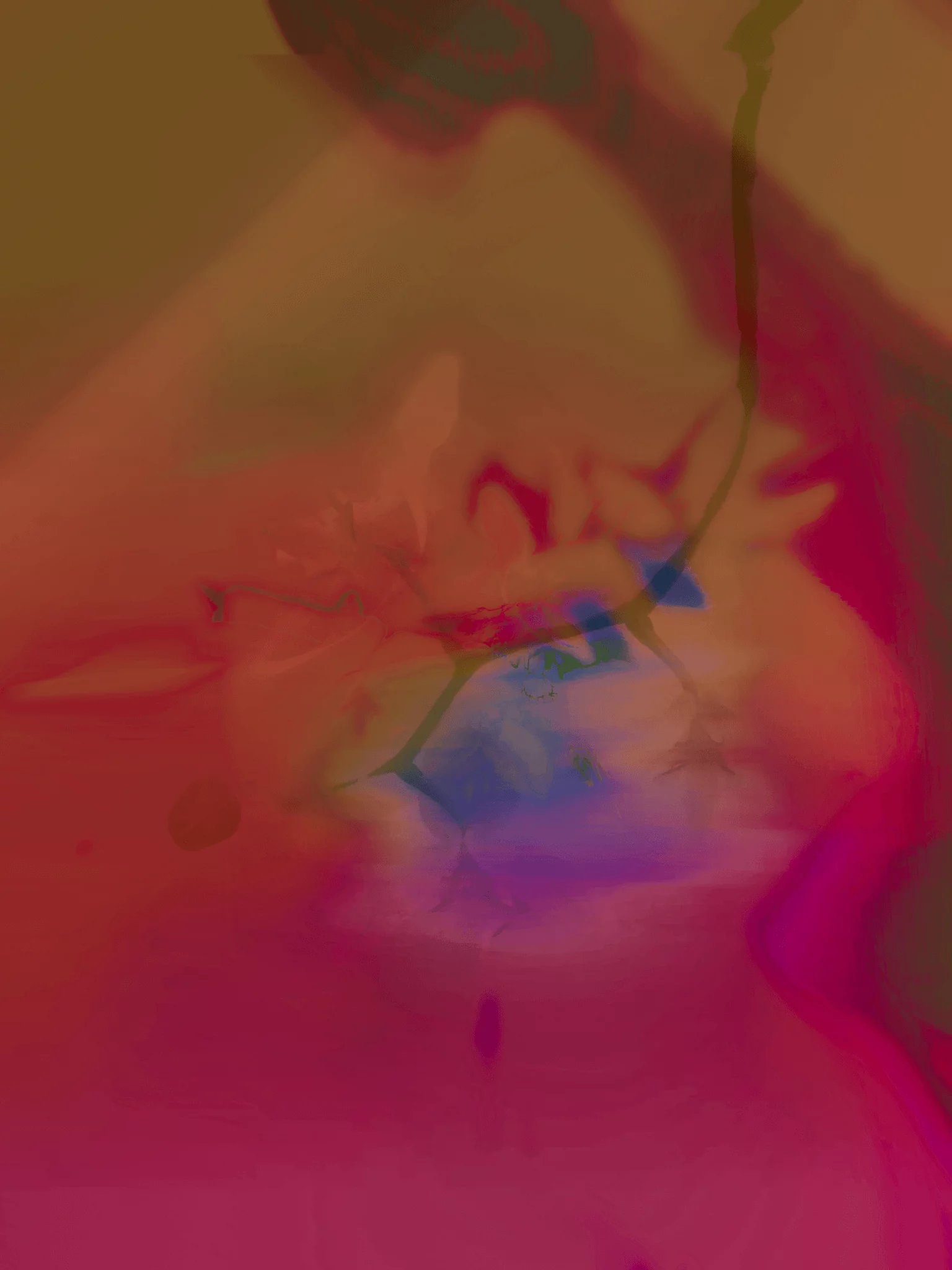 MATTHEW SWARTS An abstract image by artist Matthew Swarts featuring blurred shades of red, orange, and purple, with vague shapes resembling petals and stems, creating a dreamy, floral-like ART composition with soft transitions between colors.