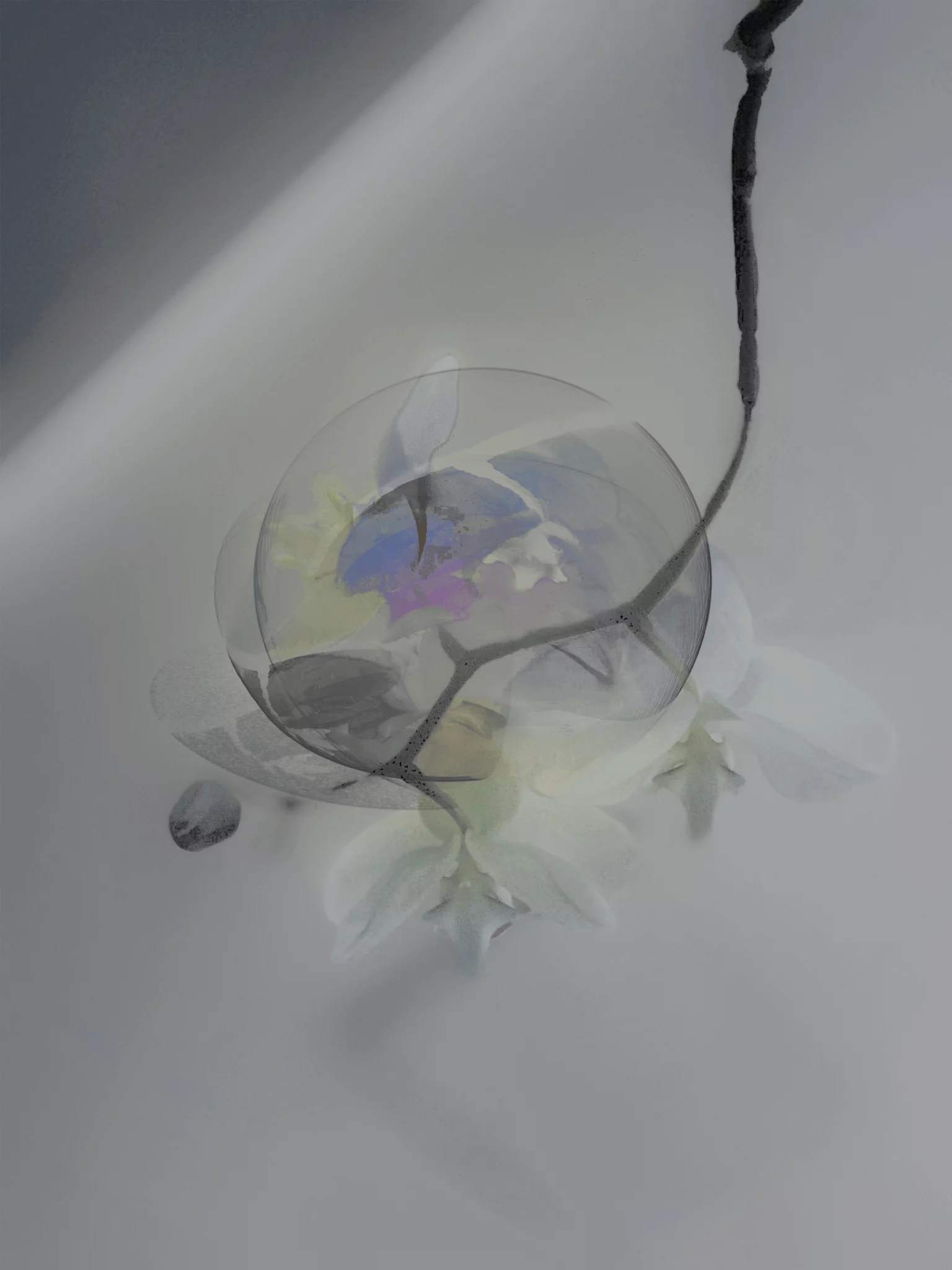 MATTHEW SWARTS A delicate orchid branch with white and purple flowers is partially enclosed in a transparent sphere, casting soft shadows on a pale, blurred background. The image exudes an ethereal, dreamy quality, evoking the refined sensibility of visual art.