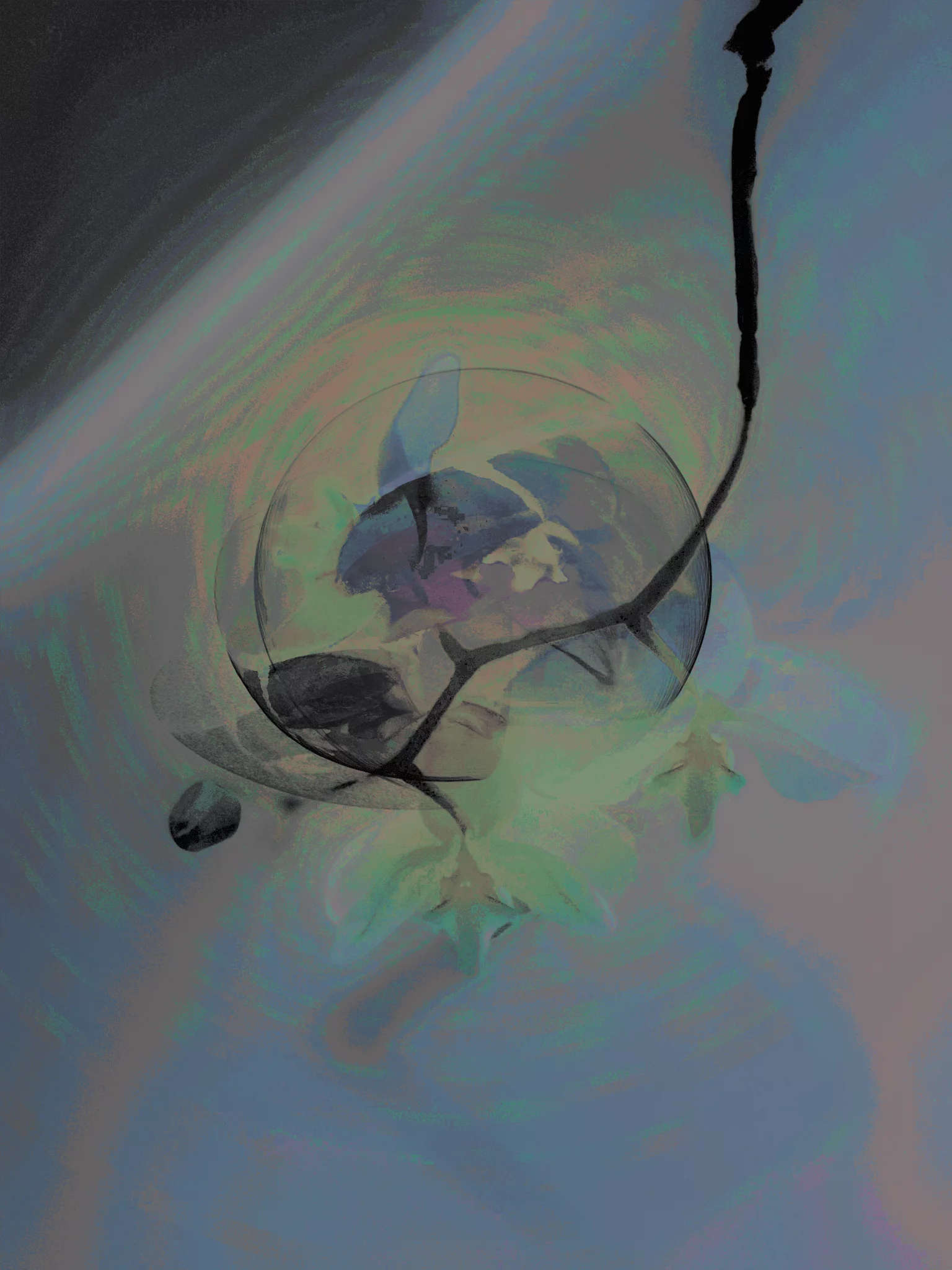 MATTHEW SWARTS A delicate branch with blooming flowers and buds is seen through a swirling, dreamy blend of pastel and dark colors, creating an ethereal visual effect that blurs the line between photography and art.