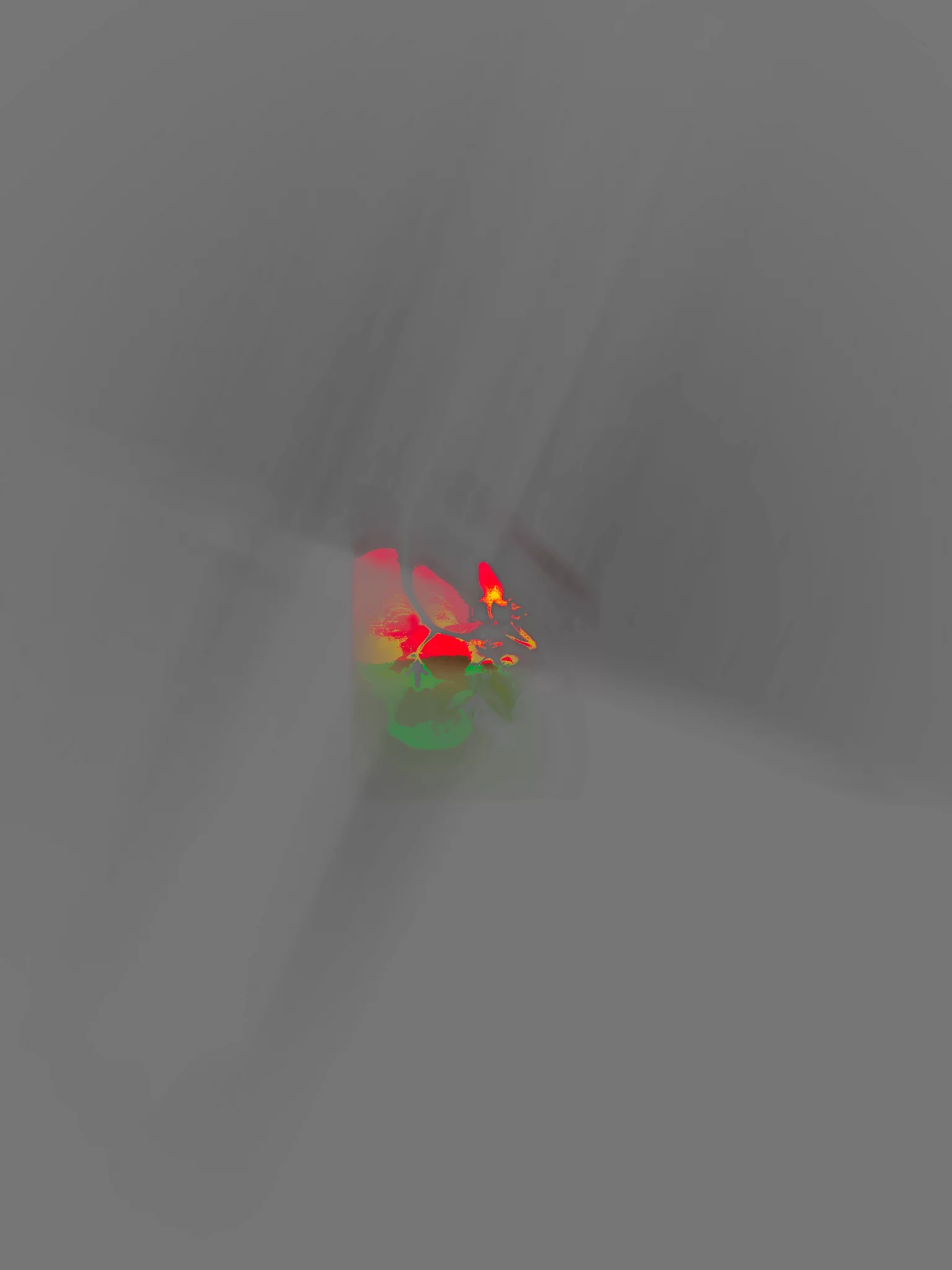 MATTHEW SWARTS Abstract image by artist Matthew Swarts features a blurry, dark gray background with wisps of red, green, and yellow light radiating outward, capturing a sense of motion and energy in this unique piece of photography.