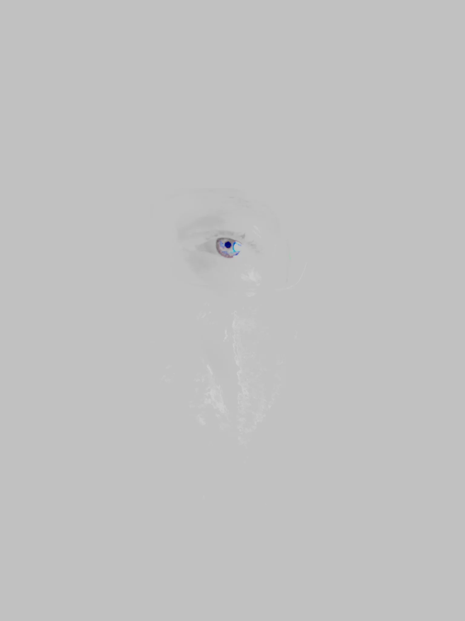 MATTHEW SWARTS A highly desaturated CONTEMPORARY image with a single blue eye prominently visible in the center, surrounded by faint, pale facial features that blend into the light gray background—an evocative work reminiscent of MATTHEW SWARTS' ART.